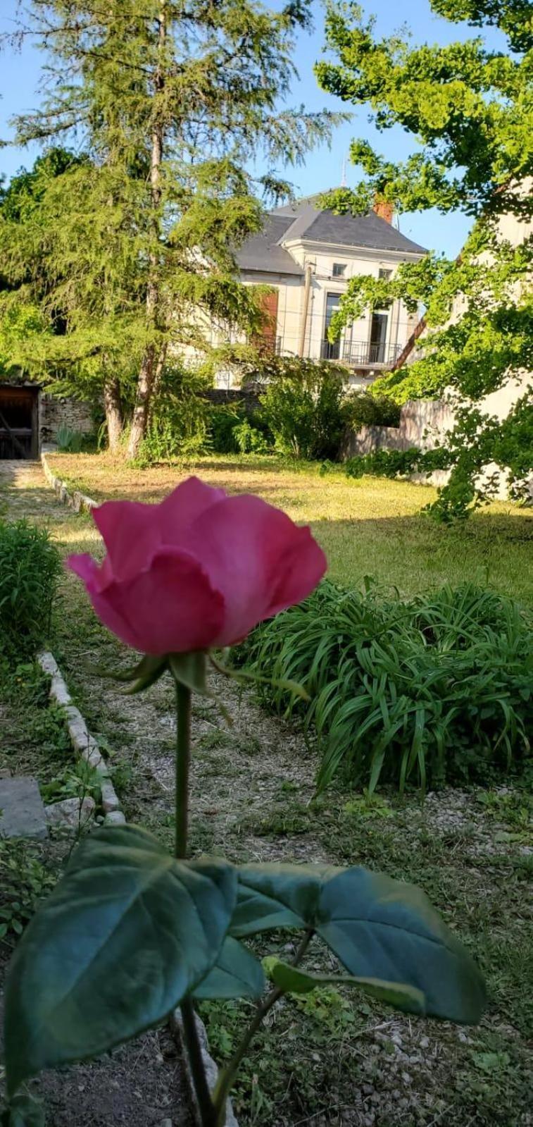 Holiday home Le Cabinet-charmante Maison Avec Terrain Chatillon-Sur-Seine
